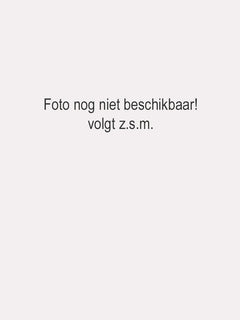Colbert Kees bruin krijtstreep